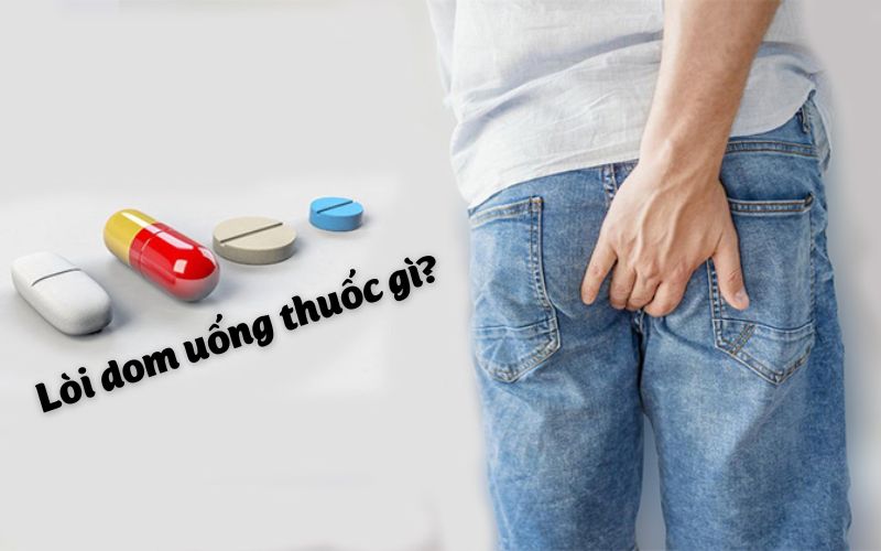 [Giải đáp] Lòi dom uống thuốc gì?